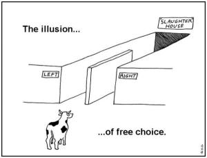 freewill-illusion